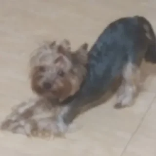 😀