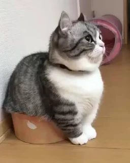 ☺️