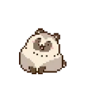 🐻