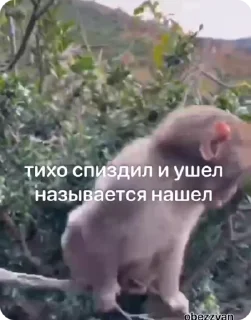 🤫