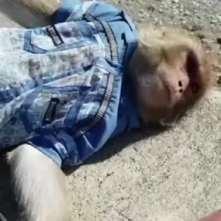 😔