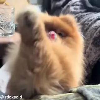 🙏