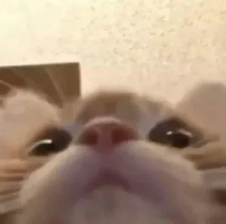 😳