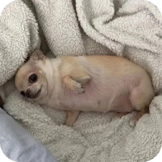 👍