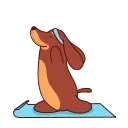 🧘‍♂️