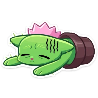 😴
