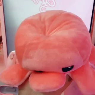 🐙