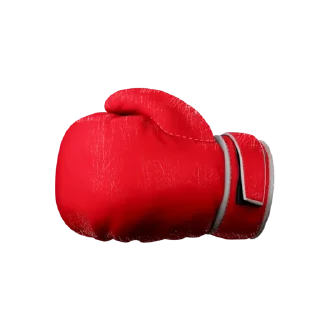 🥊