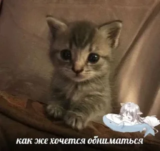 🥺