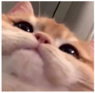 🙂