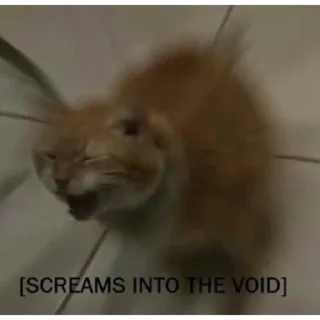 😱