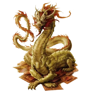 🐲
