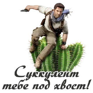 🌵