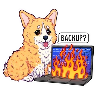 💻