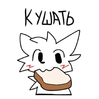 🐱