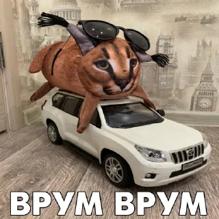 🚘