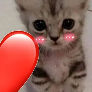 ❤️