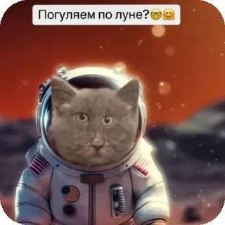 👍