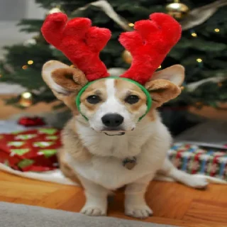 🦌