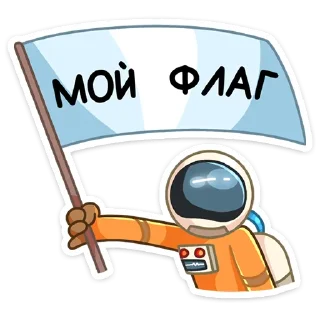 🚩
