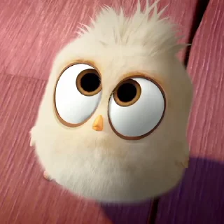 🐣