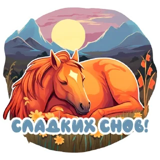 🌛