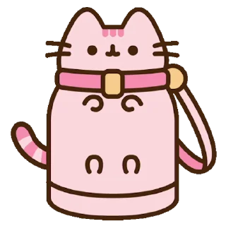 🐱
