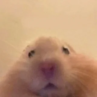 😧