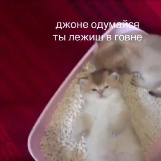 🤦‍♀️