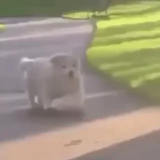 🥳