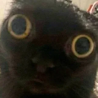 👁