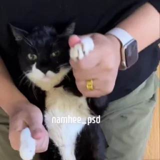 🥳