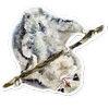 Vulpino