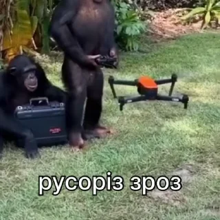 ✈️