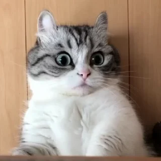 😳