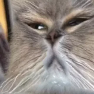 😞