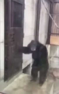 🤬