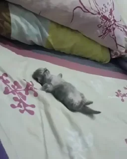 😁