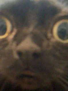 😳