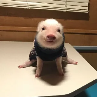 ☺️