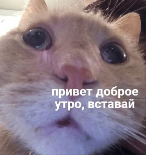 🔆