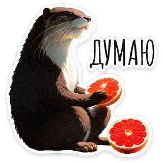 🦦