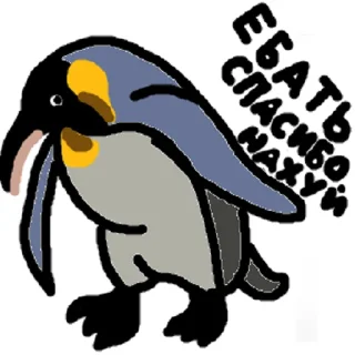 🐧