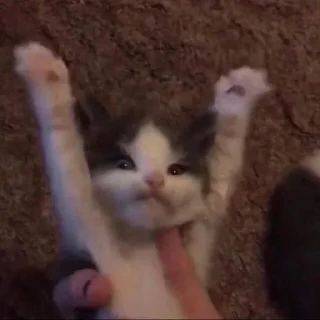 👋