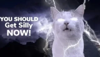 ⚡