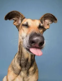 😝
