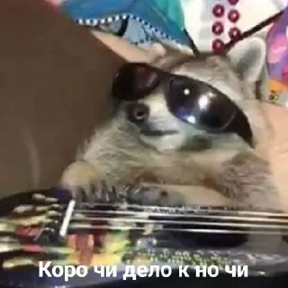 😎