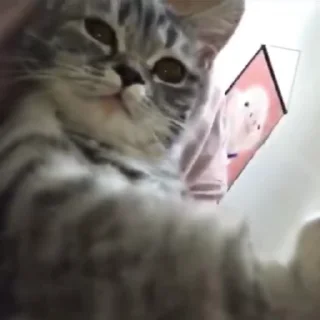 😠
