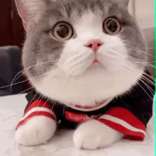 👀