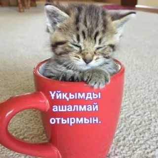 😴